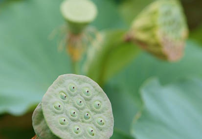 201109011308-DSC08101.jpg