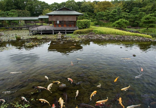 201109011311-DSC08106.jpg
