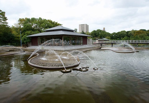 201109011318-DSC08125.jpg