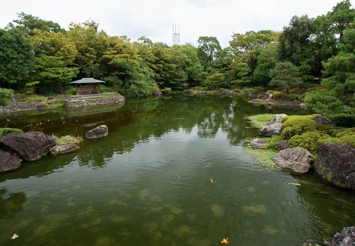 201109011329-DSC08147.jpg