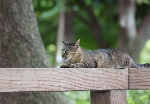 201109011529-DSC08521.jpg