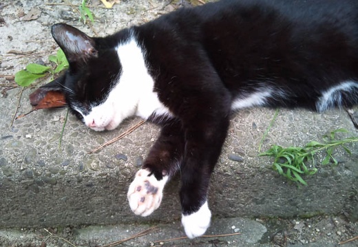 20110901155242-SO-01B.jpg