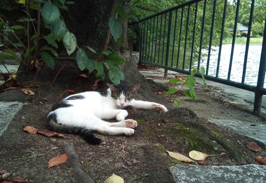 20110901155307-SO-01B.jpg