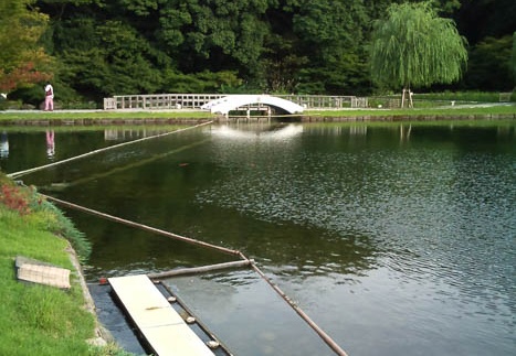 20110901164941-SO-01B.jpg