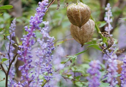 201109011656-DSC08654.jpg