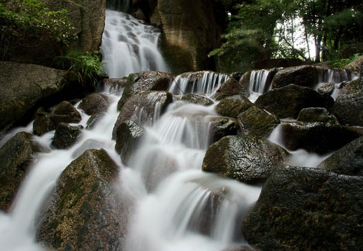 201109011700-DSC08663.jpg