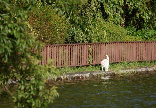 201109051637-DSC08838.jpg