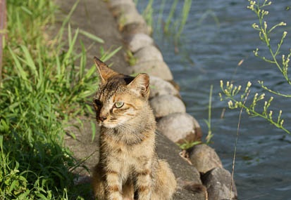 201109051641-DSC08848.jpg