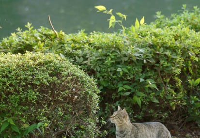 201109051703-DSC08893.jpg