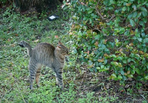201109051709-DSC08906.jpg