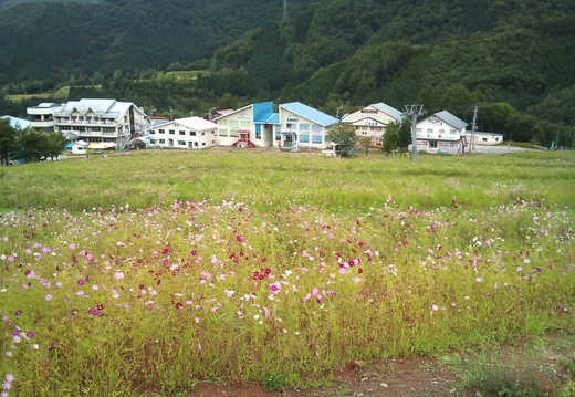 20110906110145-SO-01B.jpg