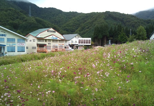 20110906110854-SO-01B.jpg