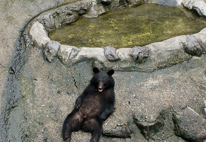 201109061215-DSC09348.jpg