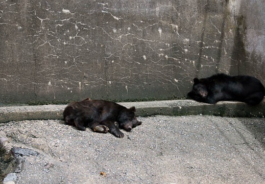 201109061218-DSC09366.jpg