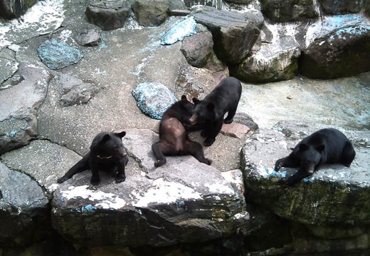 20110906122453-SO-01B.jpg