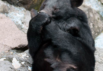 201109061228-DSC09410.jpg