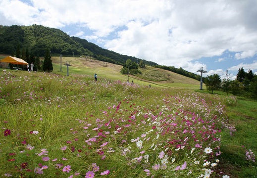 201109061314-DSC09473.jpg