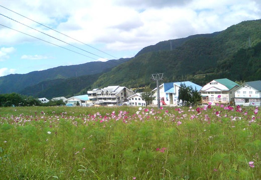 20110906131523-SO902i.jpg