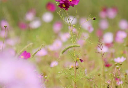 201109061322-DSC09495.jpg