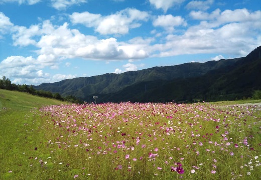 20110906133028-SO-01B.jpg