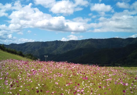 20110906133040-SO-01B.jpg