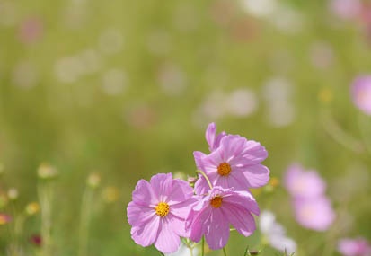 201109061355-DSC09613.jpg