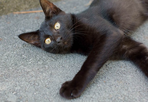 201109070932-DSC00145.jpg