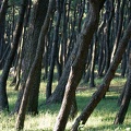 201109071653-DSC00648.jpg
