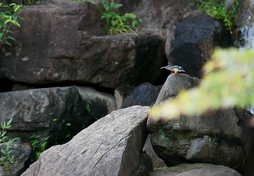 201109121151-DSC00864.jpg