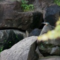 201109121151-DSC00864.jpg