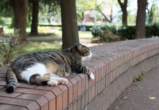201109121305-DSC01056.jpg