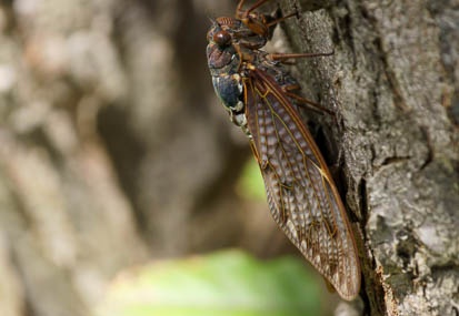 201109121309-DSC01065.jpg