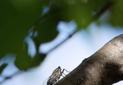 201109121310-DSC01067.jpg