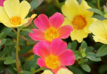 201109121321-DSC01123.jpg