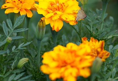201109121323-DSC01125.jpg