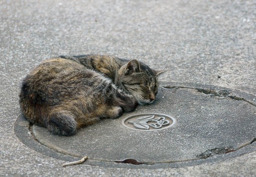201109121327-DSC01132.jpg