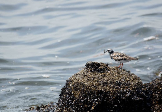 201109141107-DSC01183.jpg