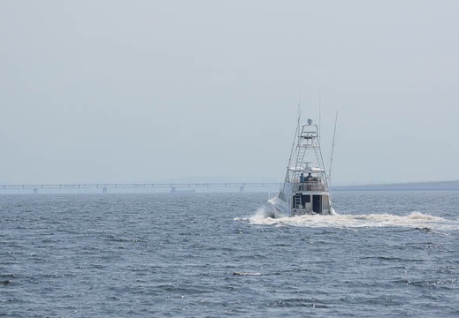 201109141112-DSC01216.jpg