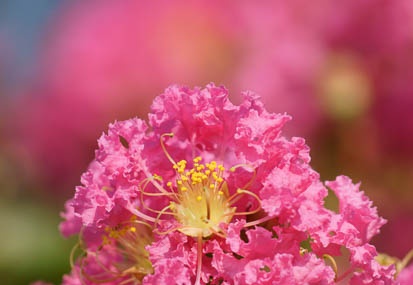 201109141455-DSC01795.jpg