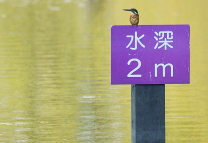 201109141604-DSC01814.jpg