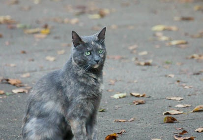 201109141624-DSC01911.jpg