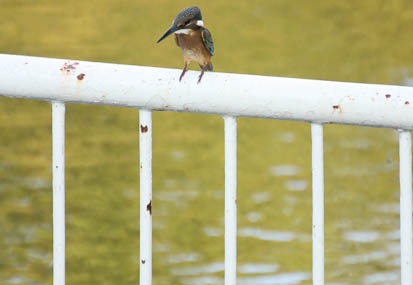 201109141638-DSC01943.jpg