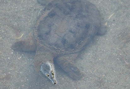 201109141649-DSC01962.jpg