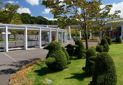 201109151137-DSC01978.jpg