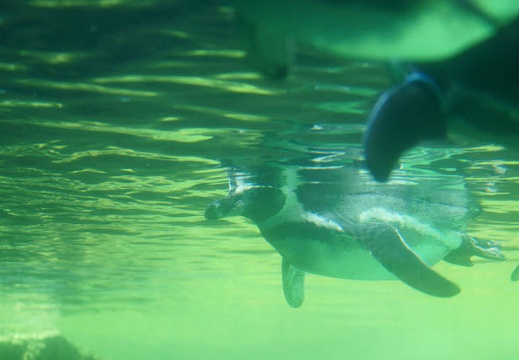 201109151220-DSC02089.jpg