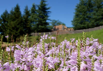 201109151234-DSC02141.jpg