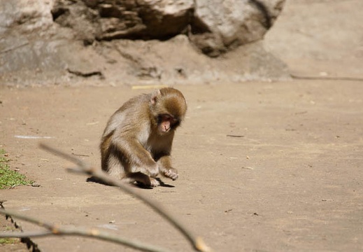 201109151308-DSC02212.jpg