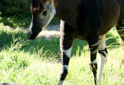 201109151339-DSC02243.jpg