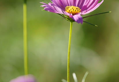 201109151518-DSC02463.jpg