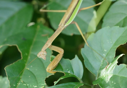 201109190918-DSC02731.jpg
